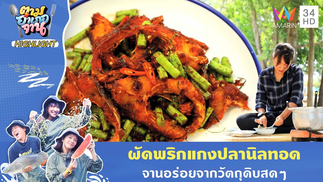 ผัดพริกแกงปลานิลทอด จานอร่อยจากวัตถุดิบสดๆ | ตามอำเภอจาน HIGHLIGHT