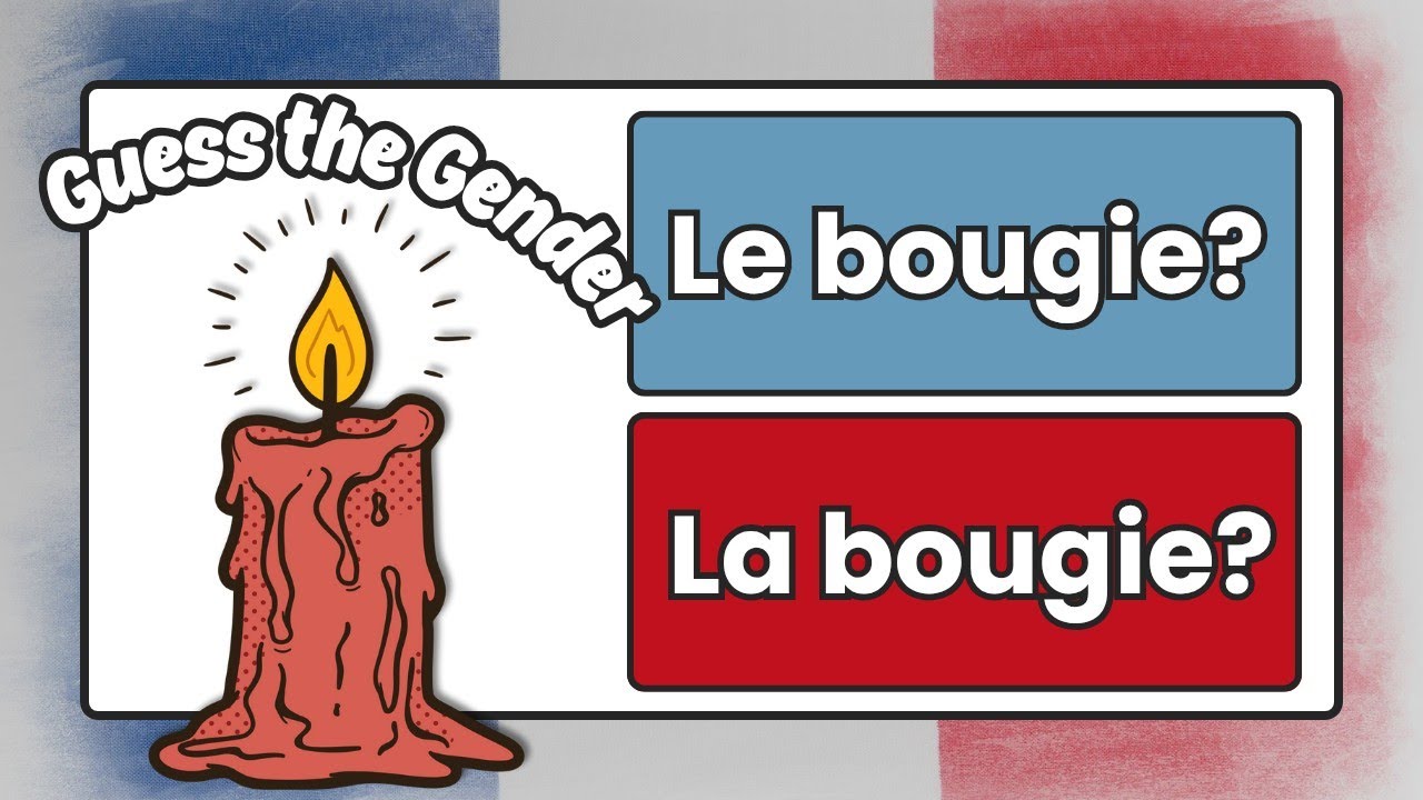 Masculine or Feminine Quiz | French Gender Quiz for Beginners 🦊💬