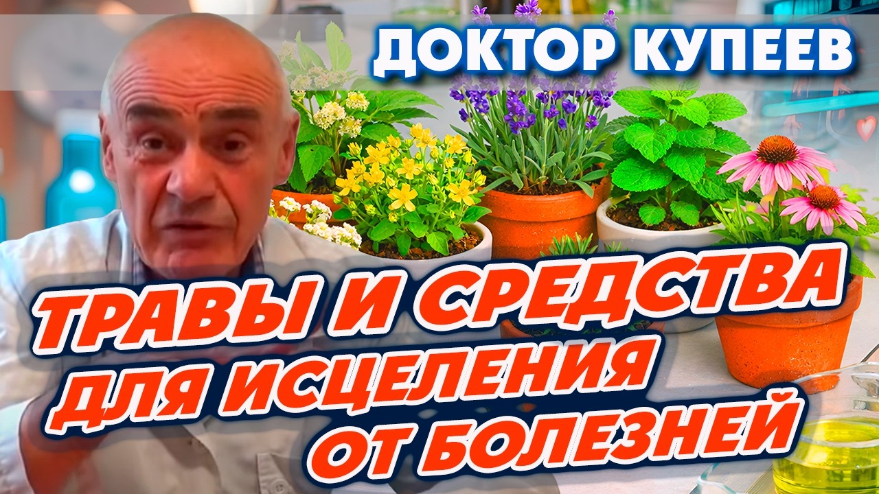 Травы и средства для исцеления от заболеваний и восстановления организма: доктор Владимир Купеев
