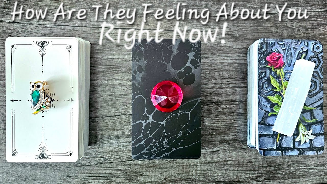 🌹How Are They Feeling About You Right Now🌹🤍Pick a Card Love Tarot Reading💫Timeless💫
