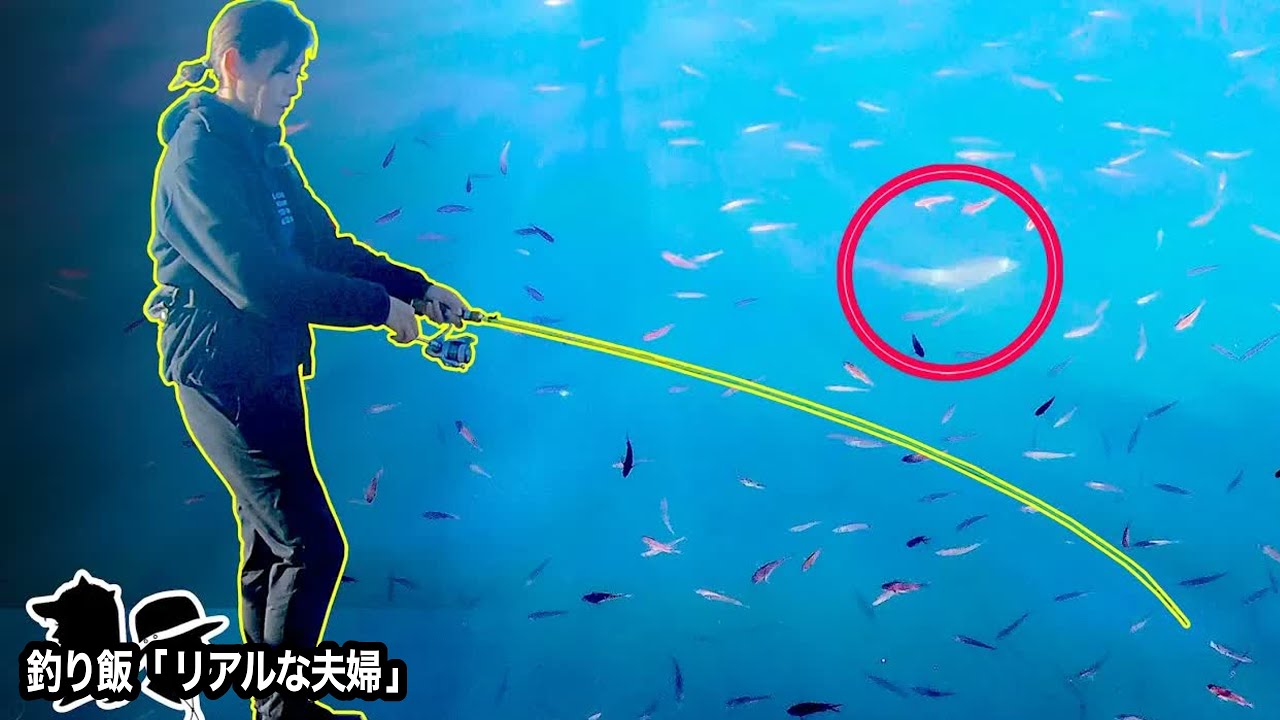 【別格】鯵の中の「 王様 」を狙いに行く　驚愕の釣り方・・・