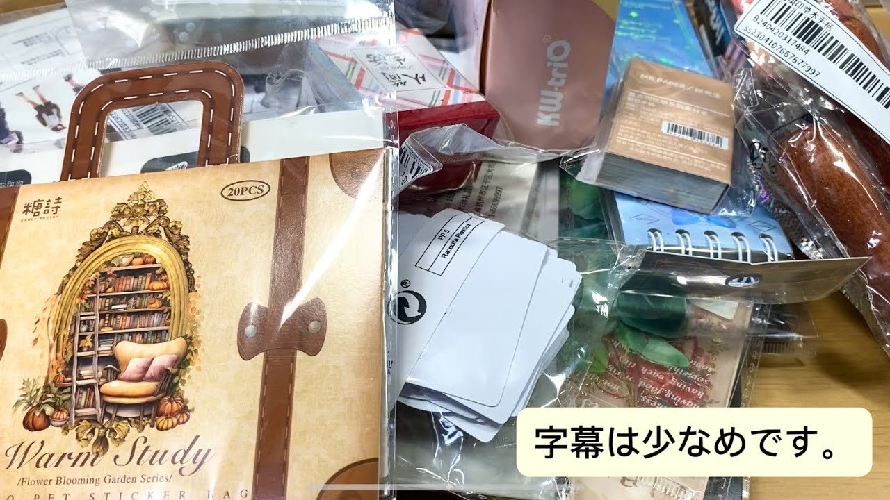 【SHEIN購入品紹介】約1万円分購入したので紹介していく