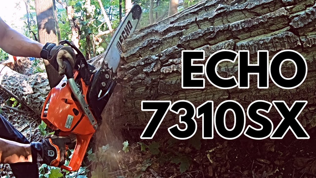 Testing The Echo 7310SX Powerful Chainsaw in bad conditions
