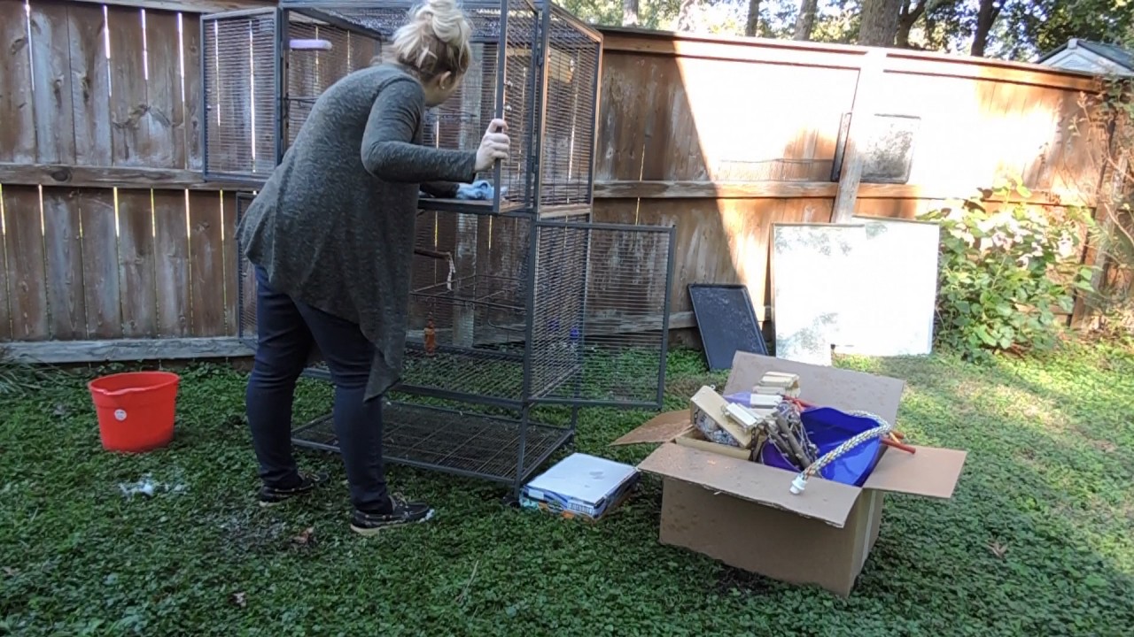 Deep Cleaning my Rat Cage