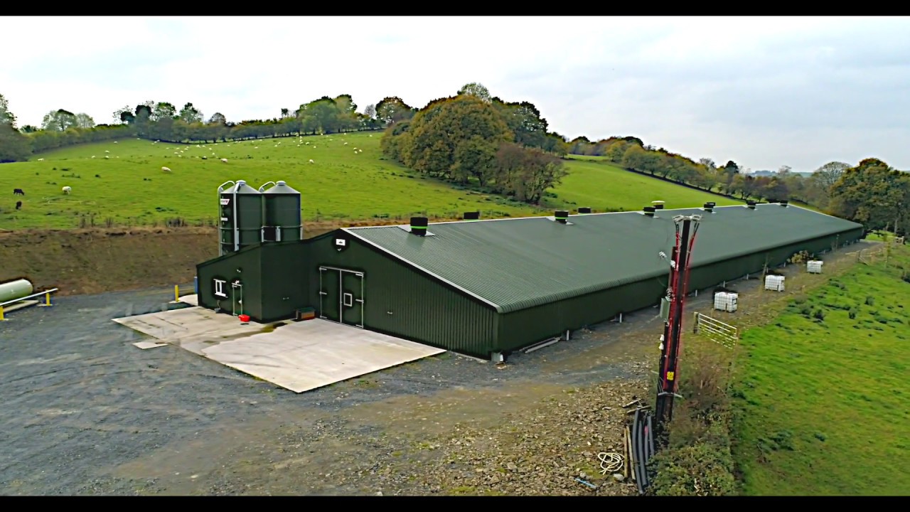 One Pullet Rearing Unit near Welshpool