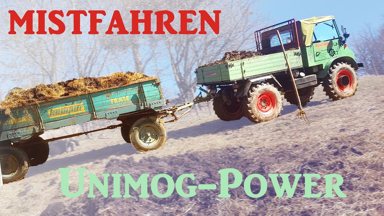 Miststreuen mit Unimog 411 - voll beladen steil Vollgas-Sound #unimogpower