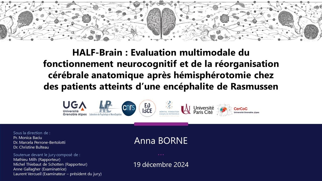 Soutenance de thèse : Anna Borne - 19 décembre 2024