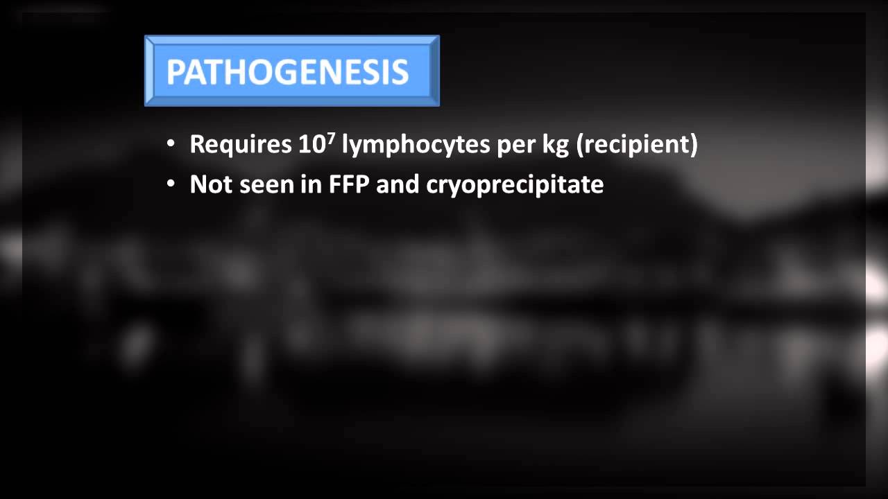 1_3 Transfusion Associated Graft Versus Host Disease