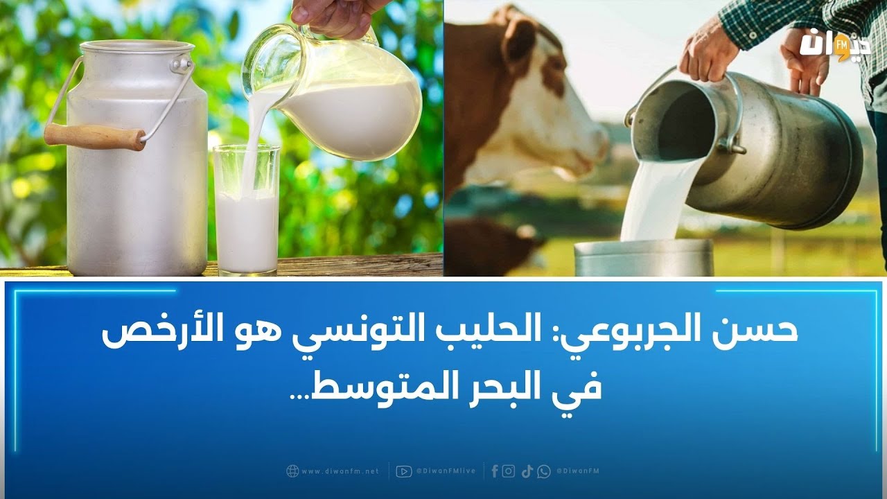 رئيس لجنة الفلاحة يطالب بتسعير الحليب حسب الجودة لهذه الأسباب..