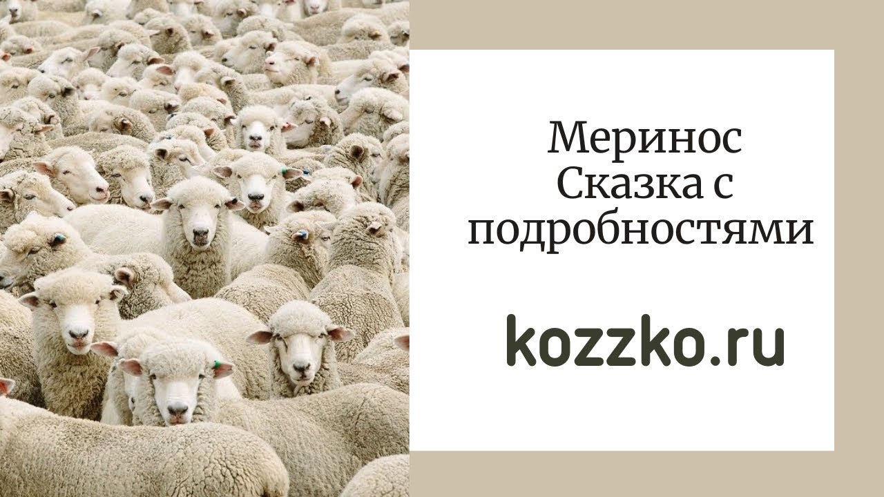 Меринос и его производство