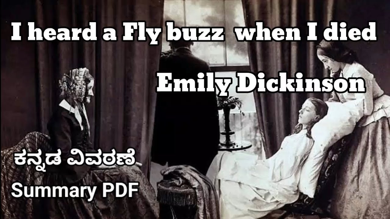 i heard a fly buzz when i died emily dickinson summary in kannada @learneasilyhub