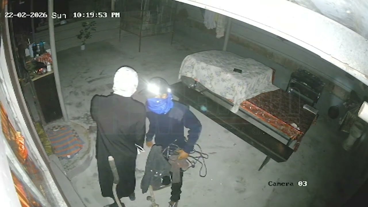 CCTV captures suspects stealing bird and other items from Esperanza, California home.