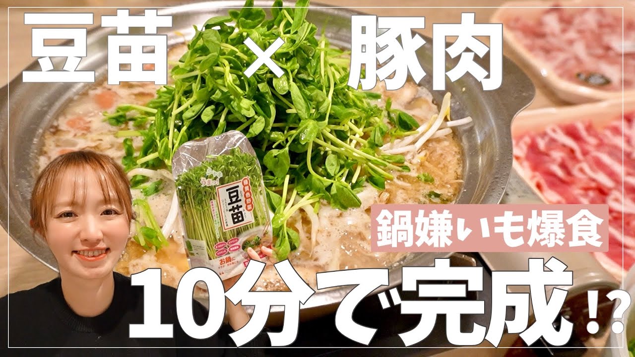 10分で絶品！鍋嫌いの子どもも爆食い【豆苗×豚肉ごま油鍋】いつも安い豆苗の簡単レシピ