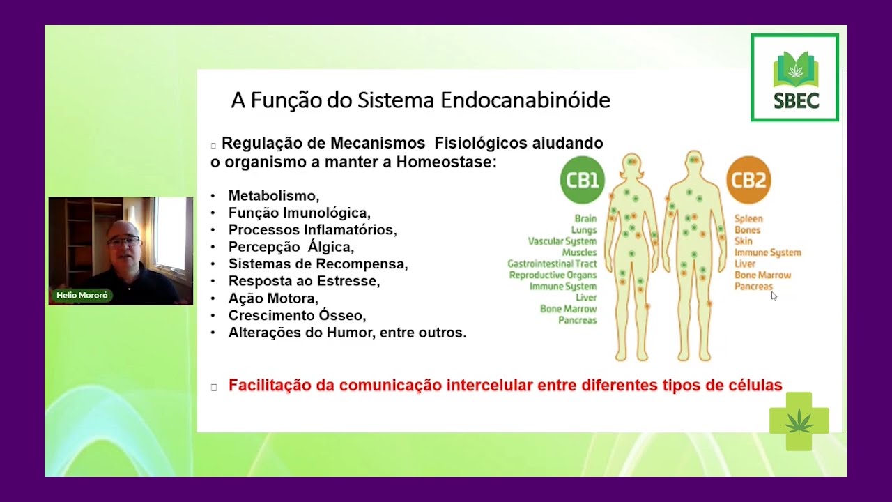8ª Aula - A Cannabis na saúde da mulher - Dr. Hélio Mororó