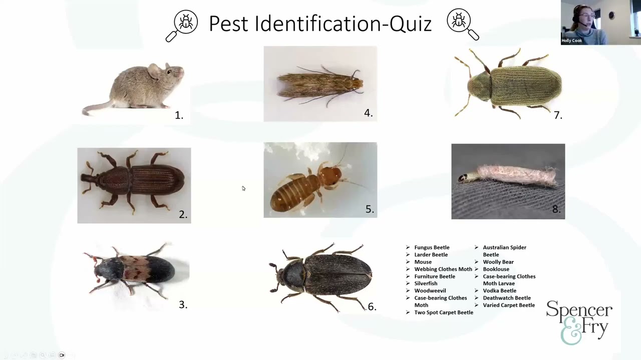 An Introduction to Insect Pest Management   6 February 2024