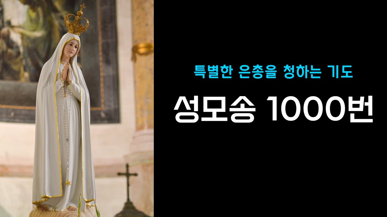 성모송 1000번(넘버링)ㅣ 간절한 염원ㅣ특별한 은총을 청하는 기도 ㅣ위로의 기도ㅣ치유의 기도 ㅣ마음의 평화를 얻는 기도ㅣ잠잘때 듣는 기도 #성모송 #셀리의치유의숲 #9일기도