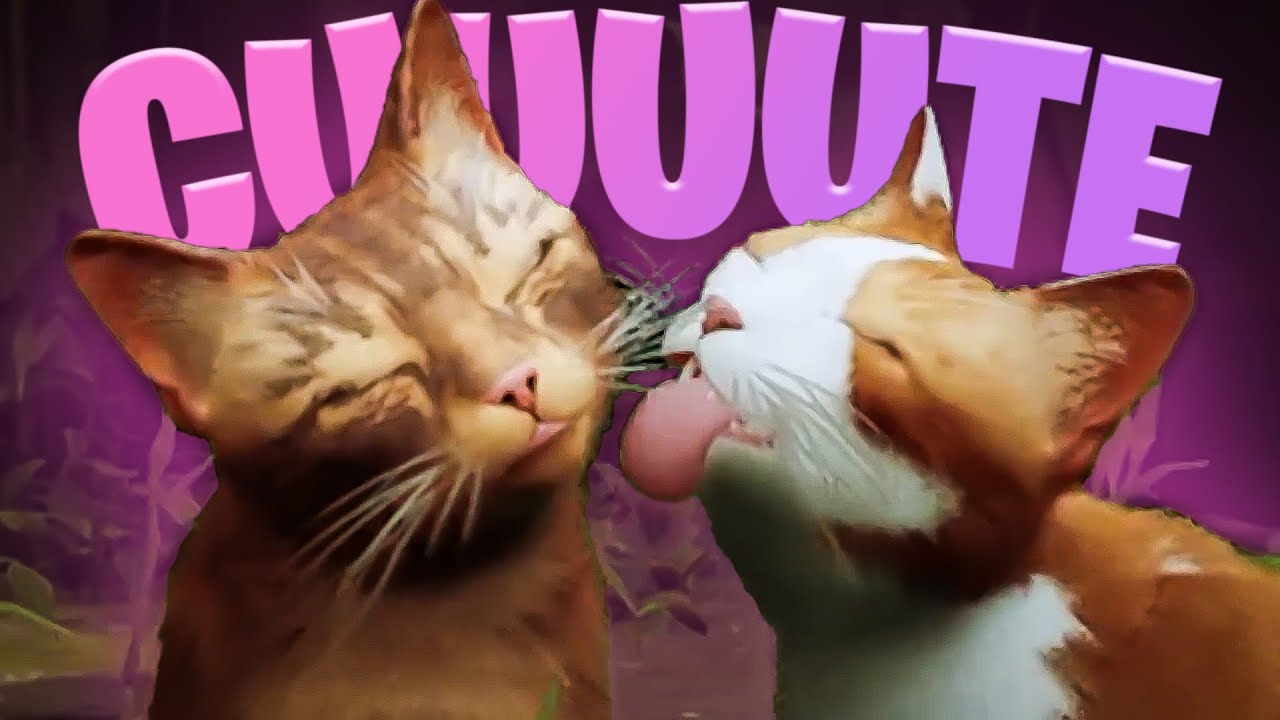 THIS GAME IS TOO CUTE | STRAY [EP 1]