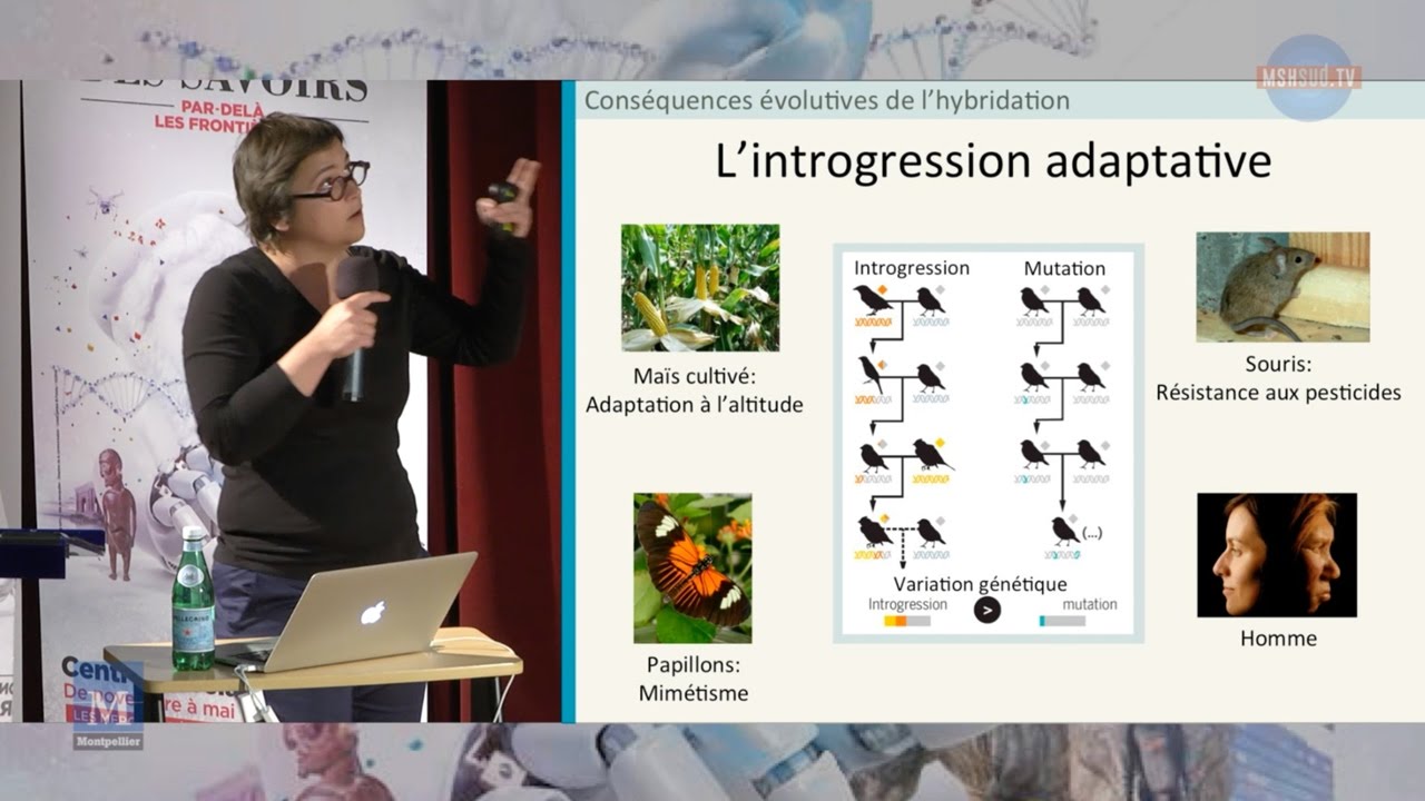 Carole Smadja - Aux frontières entre espèces : à l'origine de la diversité biologique
