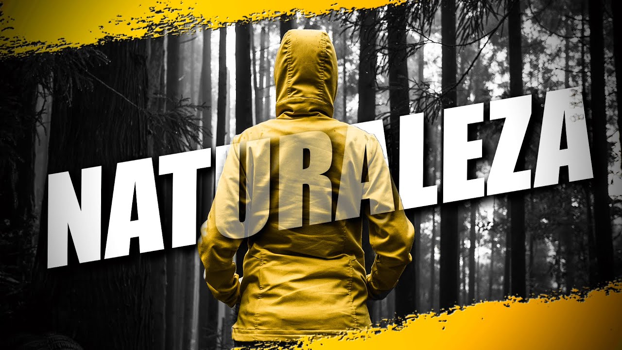La Naturaleza Según Los Estoicos