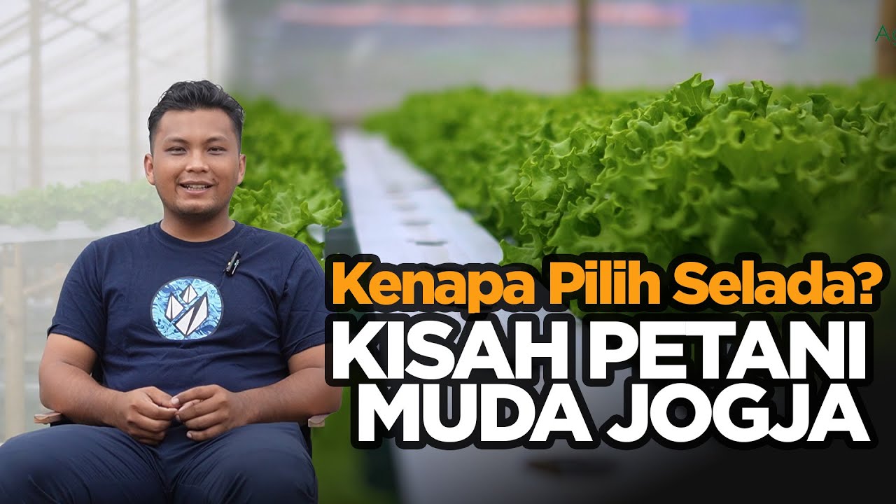 Dari Niat & Rancangan, Jadi Petani Selada Hidroponik Beromzet Harian