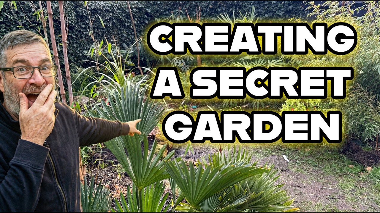The Secret Garden Moment in My UK Tropical Style Garden