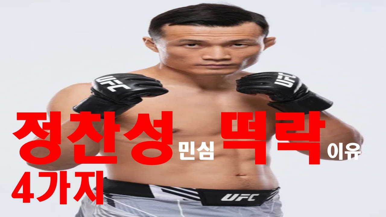 정찬성에 대한 민심이 떡락한 이유 4가지