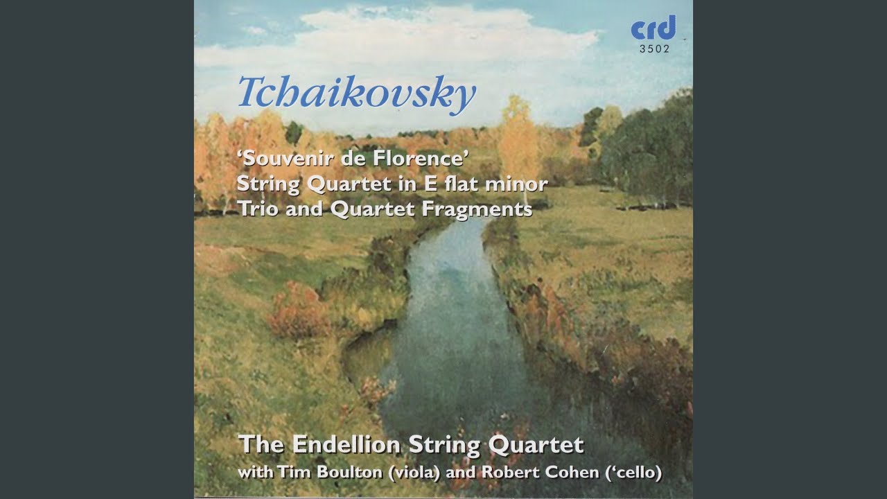String Sextet in D minor, Op.70 'Souvenir de Florence': Allegro con spirito