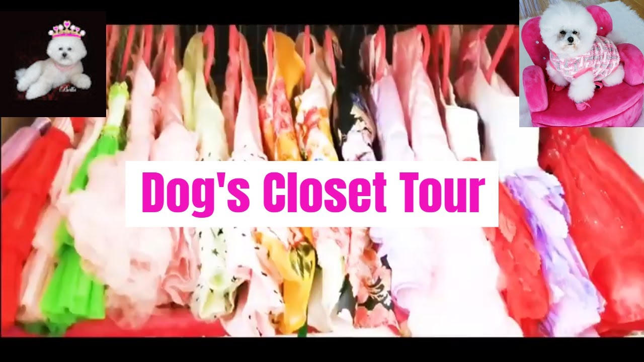 Dog clothes closet } Bella's Closet Tour | DIY dog clothes closet