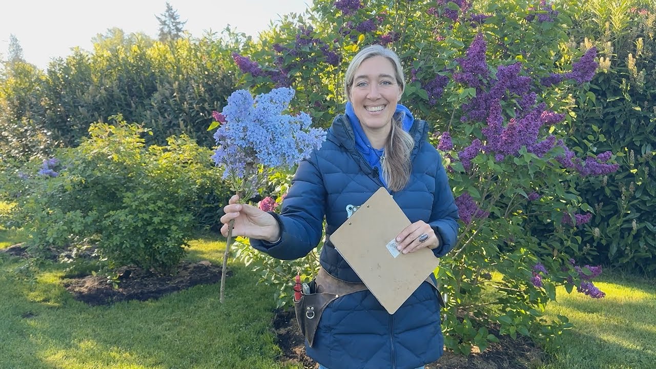 Floret Farm Tour: Lilacs