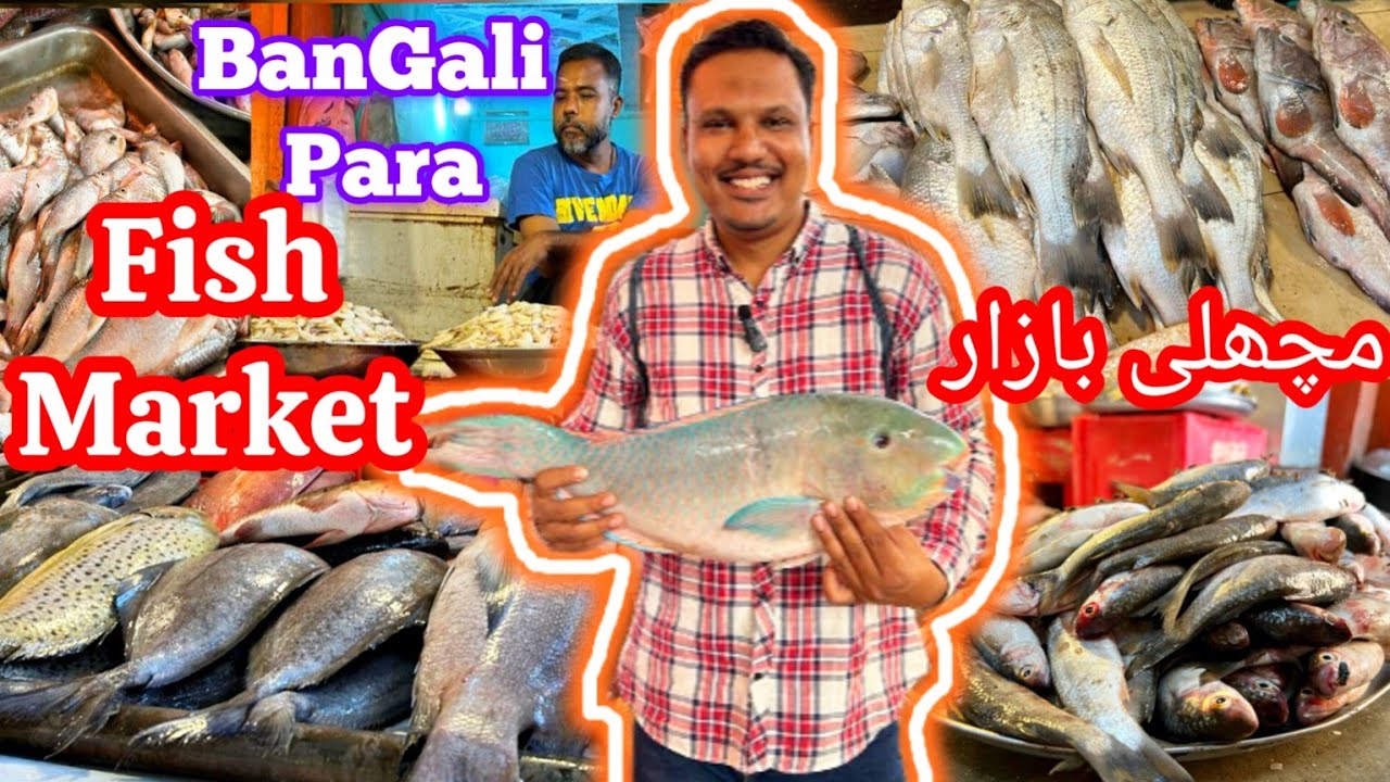 Bangali Para Fish Market | Fish market 2023 | Bufferzone Fish Market | Fish market Karachi