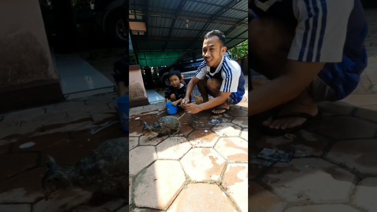MasyaAllah Tabarakallah Jumat Bersih Kasian Banget Kucing Kena Jebakan Lem Tikus