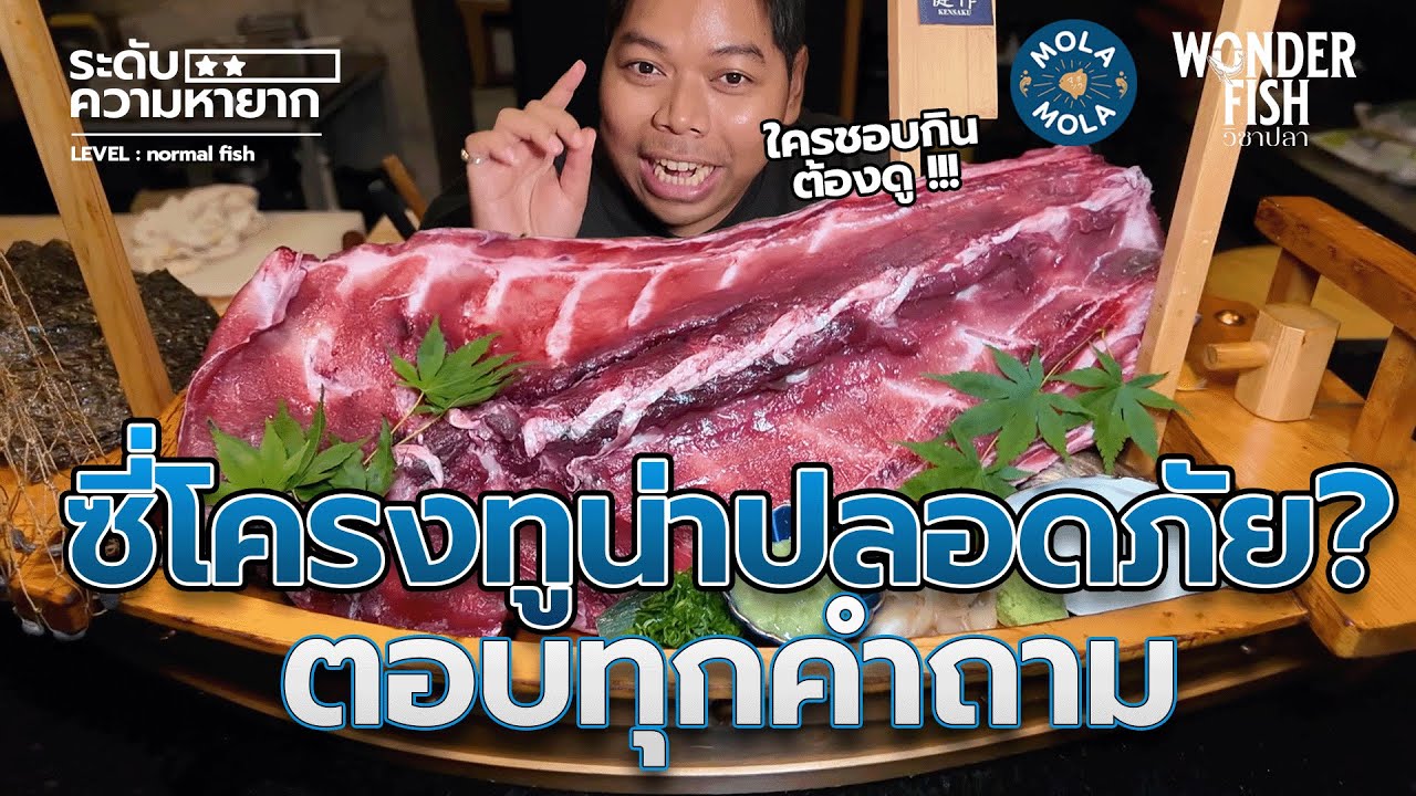 ตอบทุกคำถาม 