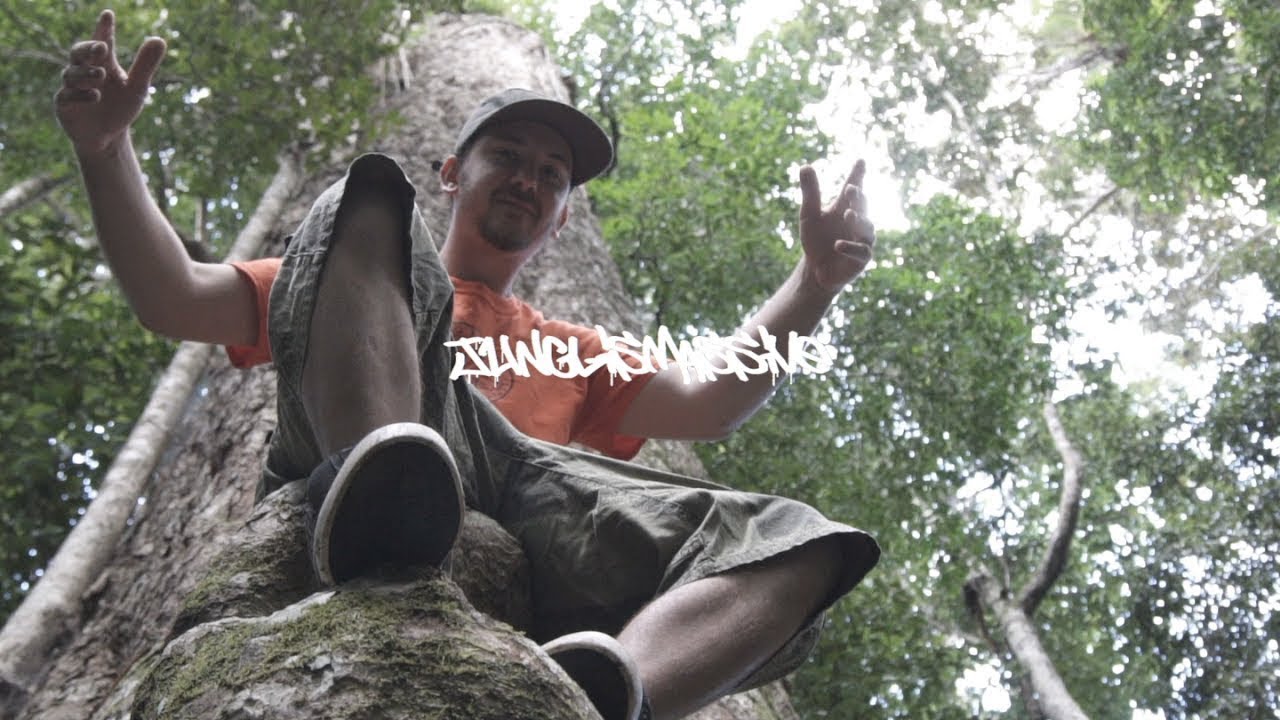 DIGGIS - JUNGLISMASSIVE (Prod. by MARS MADNESS) [Official Video]