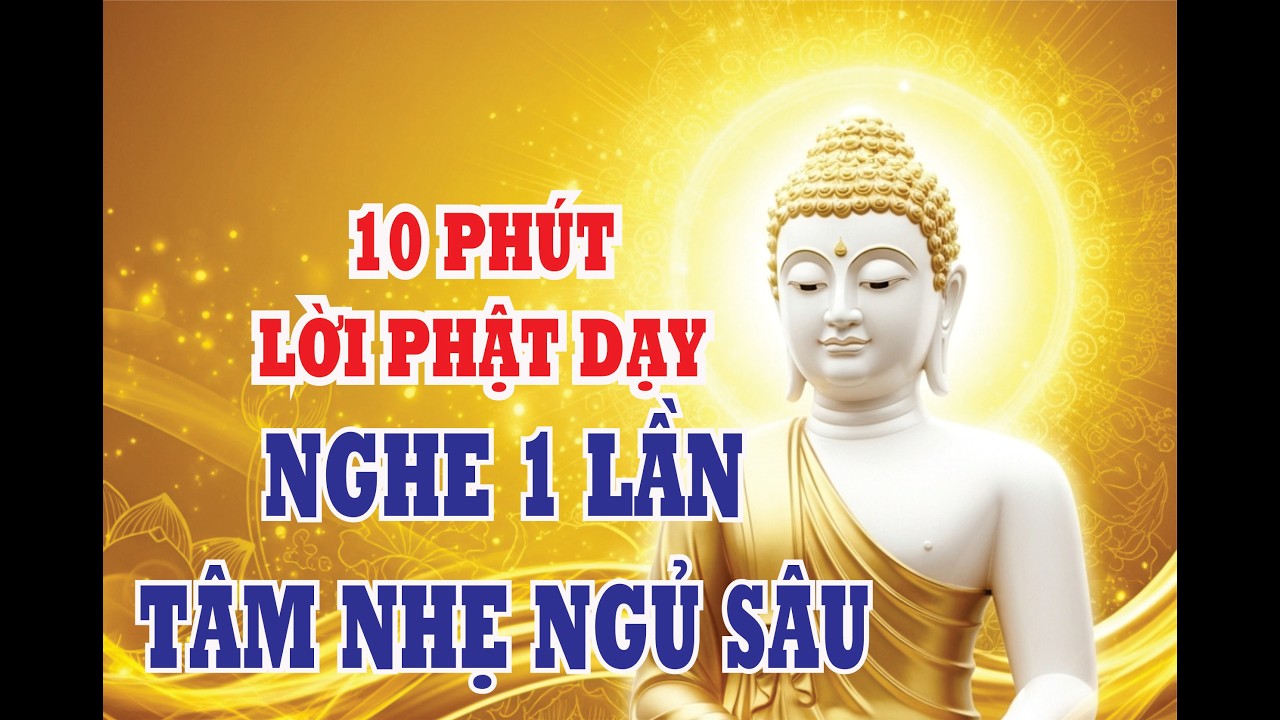 Trước Khi Ngủ Nghe Phật Dạy 10 Phút – Nhẹ Lòng, Buông Bỏ Và Ngủ Ngon| Nghe phật dạy