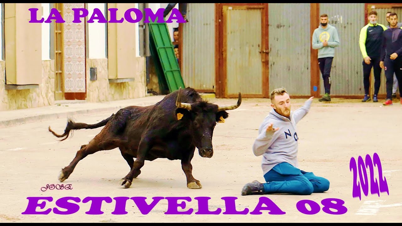 🔥2022 ESTIVELLA 04 ◾ ESPECIAL en ASFALTO La Paloma