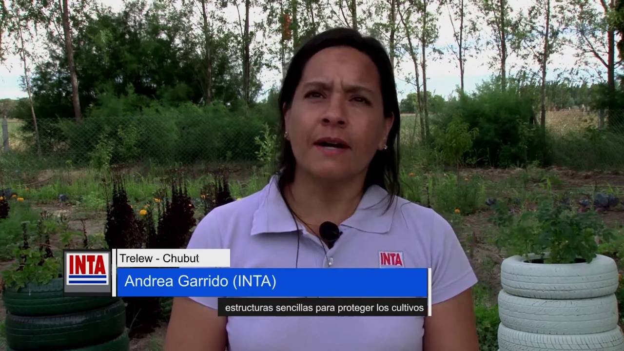 INTA Chubut - Abriendo Tranqueras - Microtúneles de fácil construcción