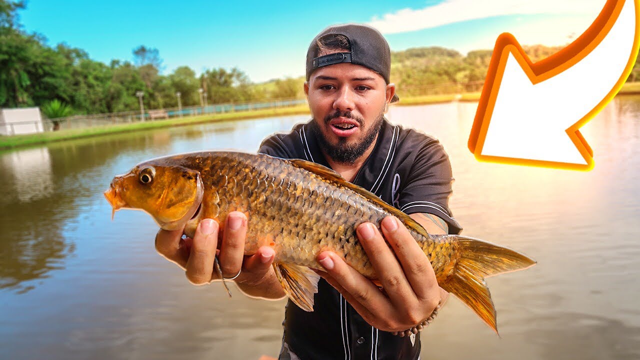 PEGAMOS UM PEIXE GRANDE