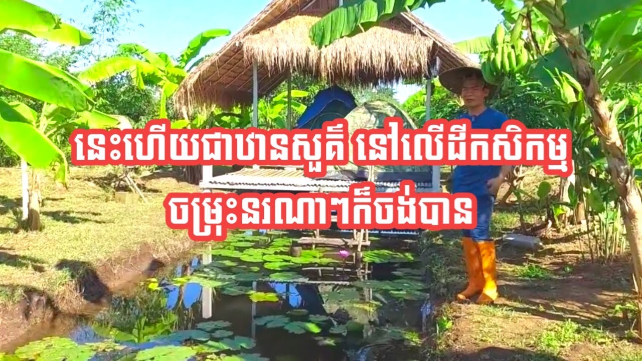នេះហើយជាឋានសួគ៌ នៅលើដីកសិកម្មចម្រុះនរណាៗក៏ចង់បាន/ The dream of living with nature.