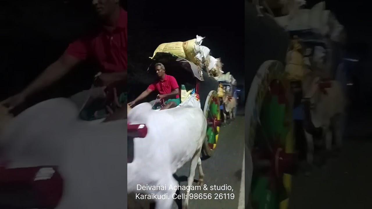 Vaitheeswaran Temple Padayatra Day 2 Machhuvadi to Gandharvakottai