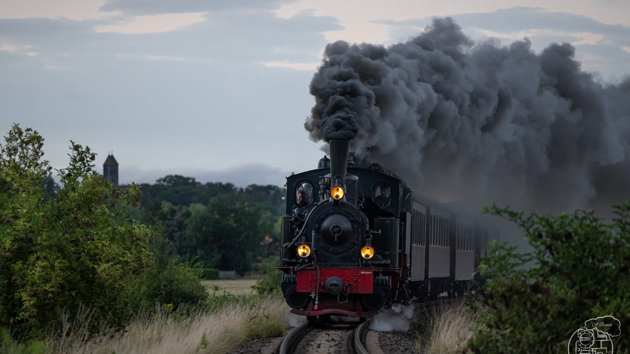 Lok Hoya zu Besuch bei der Harzer Schmalspurbahn hsb