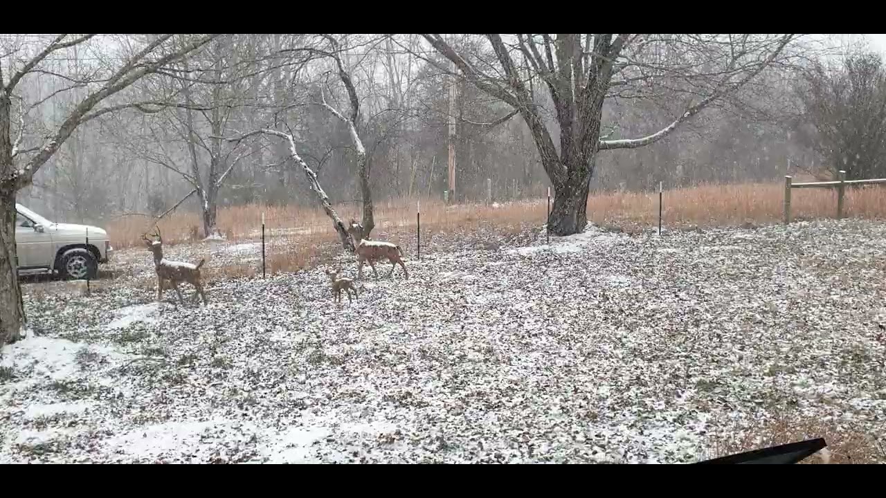 January 24th big storm part 1