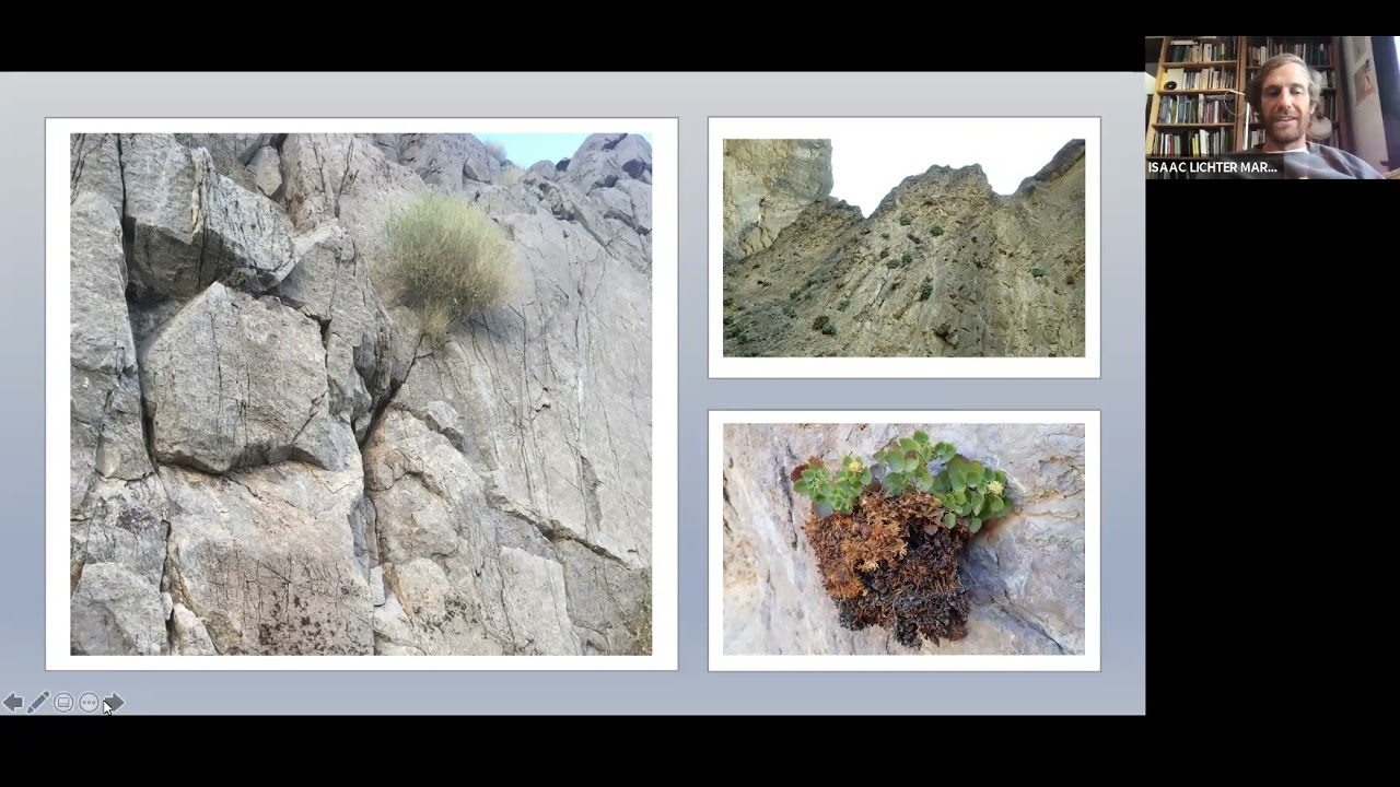 Plant diversification in a desert archipelago: a PhD finishing seminar