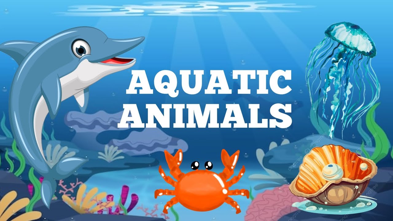 Aquatic Animals