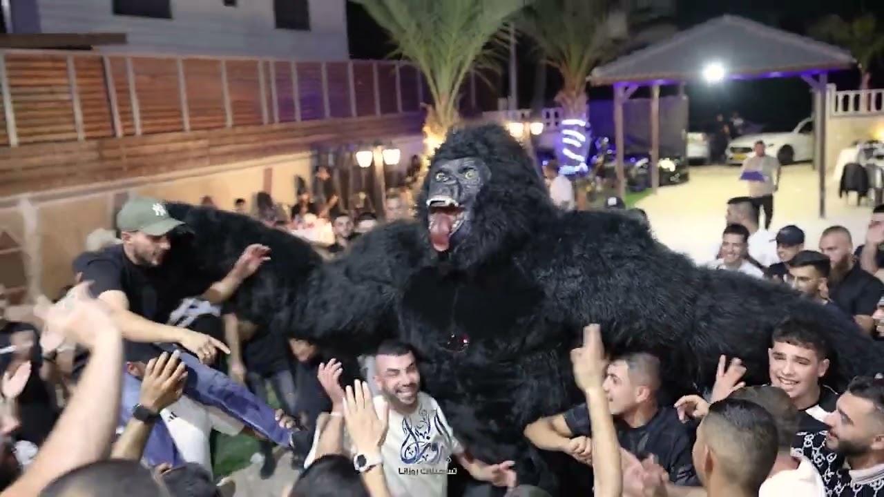 الغوريلا 😂دخلت على حفلة(الفنان ادهم شكري)حفلة محمد سنقرط /اكشششن ودحيات نار 2025
