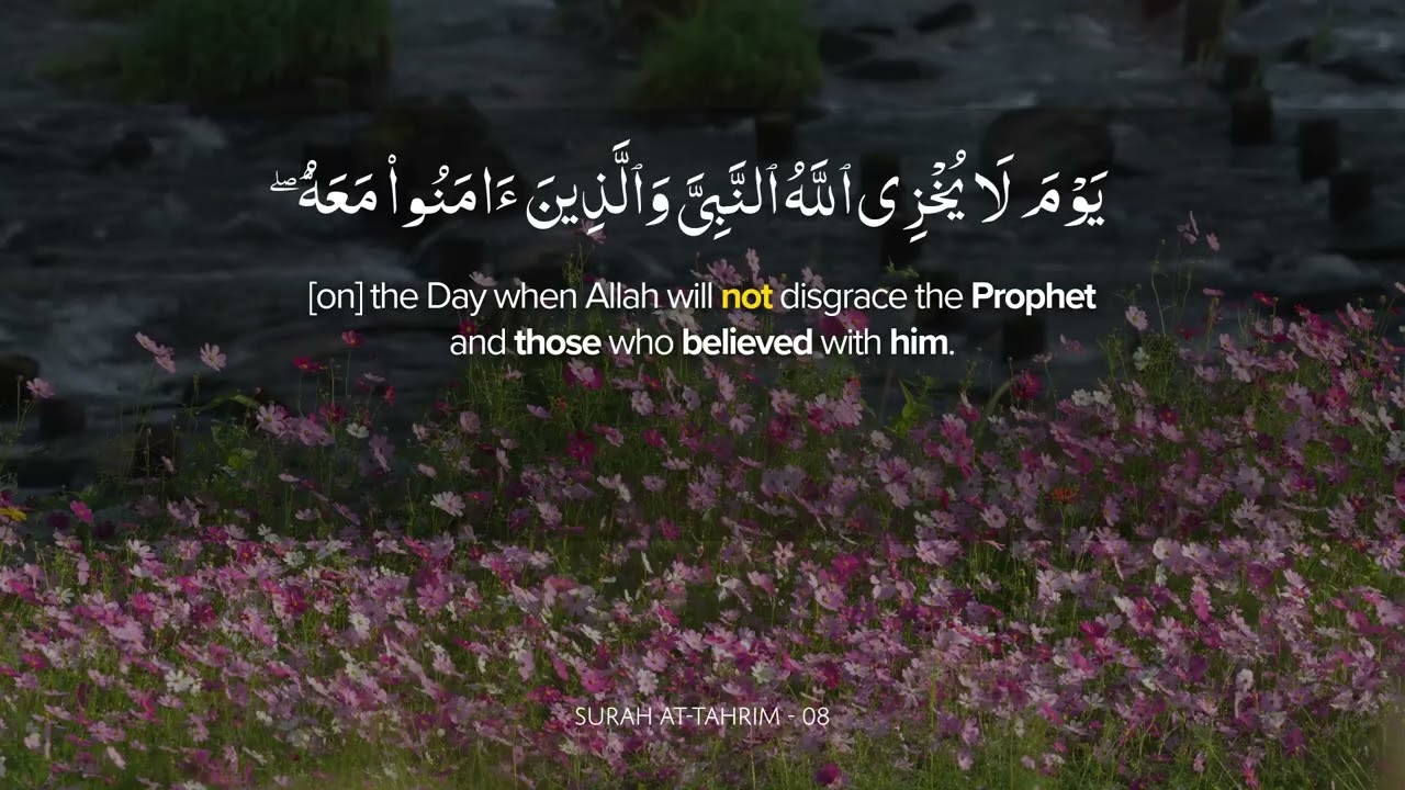 Beautiful Hope in Surah Tahrim.... ♥️