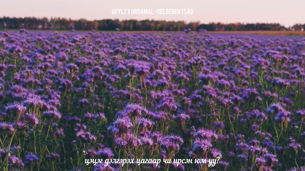 GOYLZ x URGAMAL - DELGEREH TSAG (Official music)