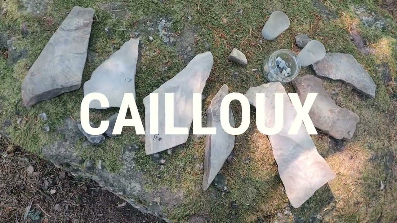 Cailloux - MIMS Mulhouse