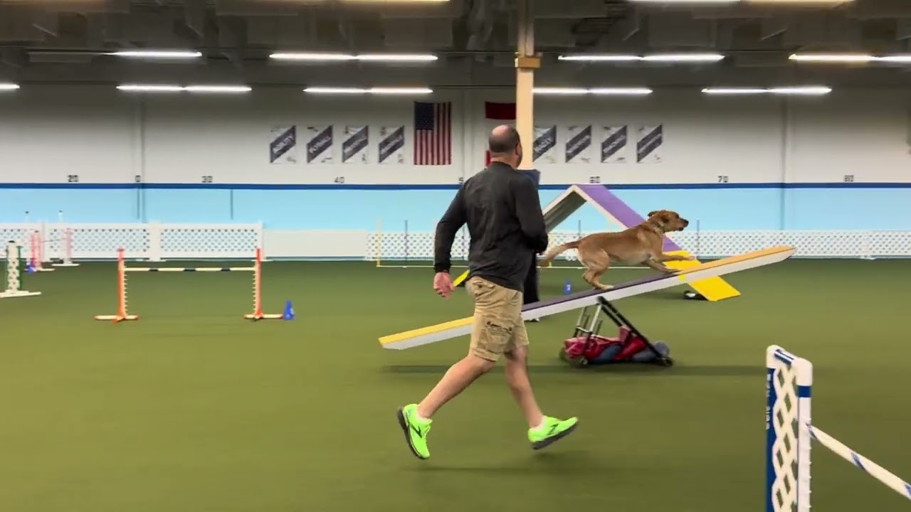 AKC Agility January 16-18, 2026