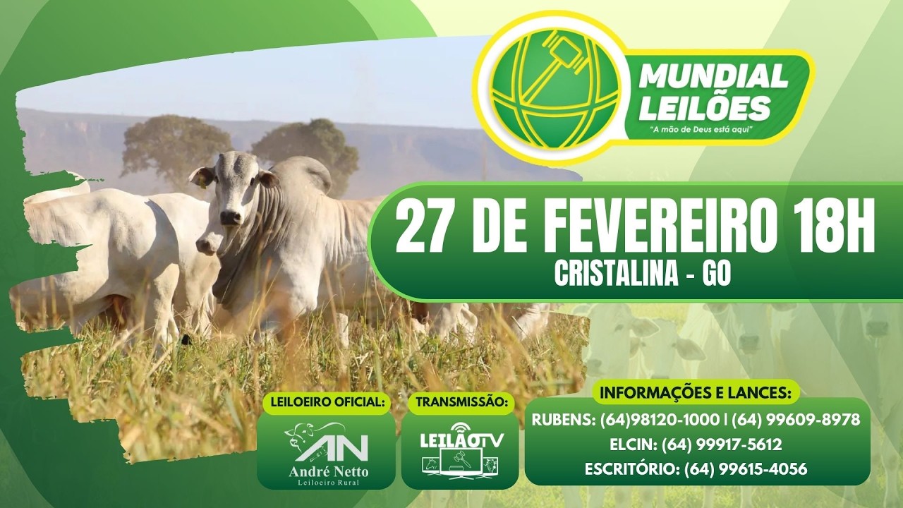 LEILÃO AO VIVO - MUNDIAL LEILÕES A MÃO DE DEUS ESTA AQUI - CRISTALINA GO - 27/02/2026