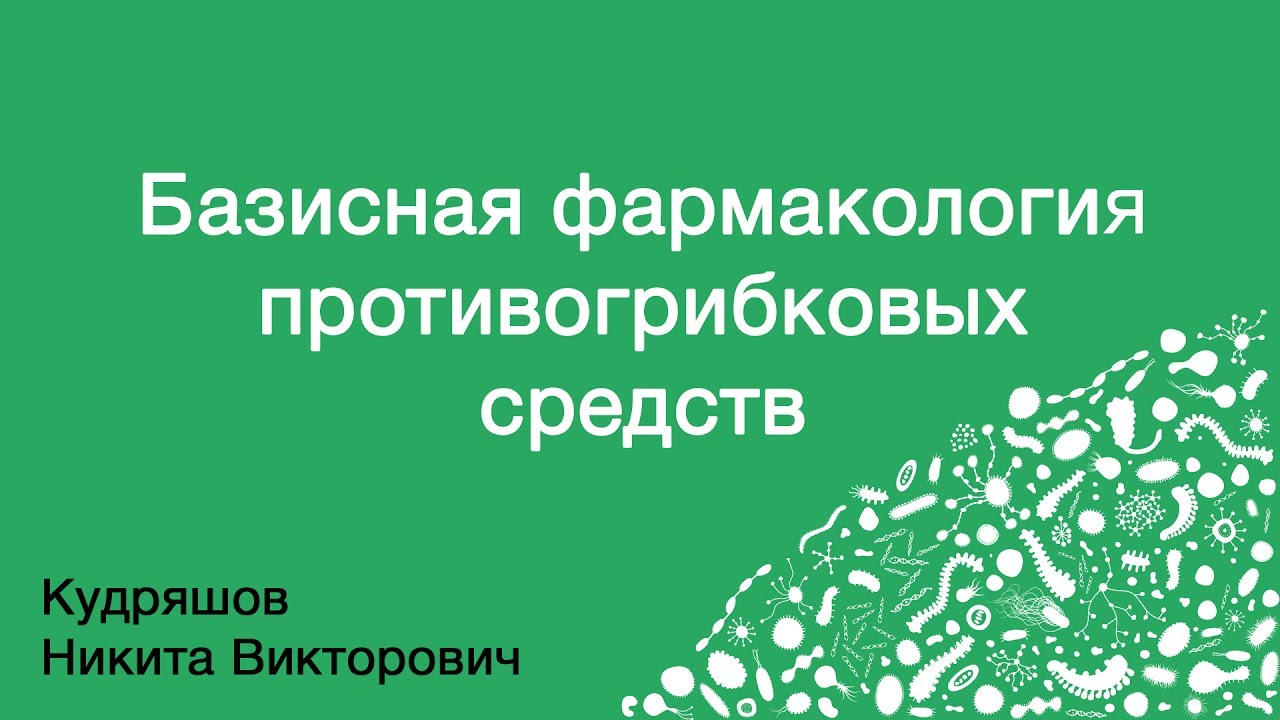 Базисная фармакология противогрибковых средств